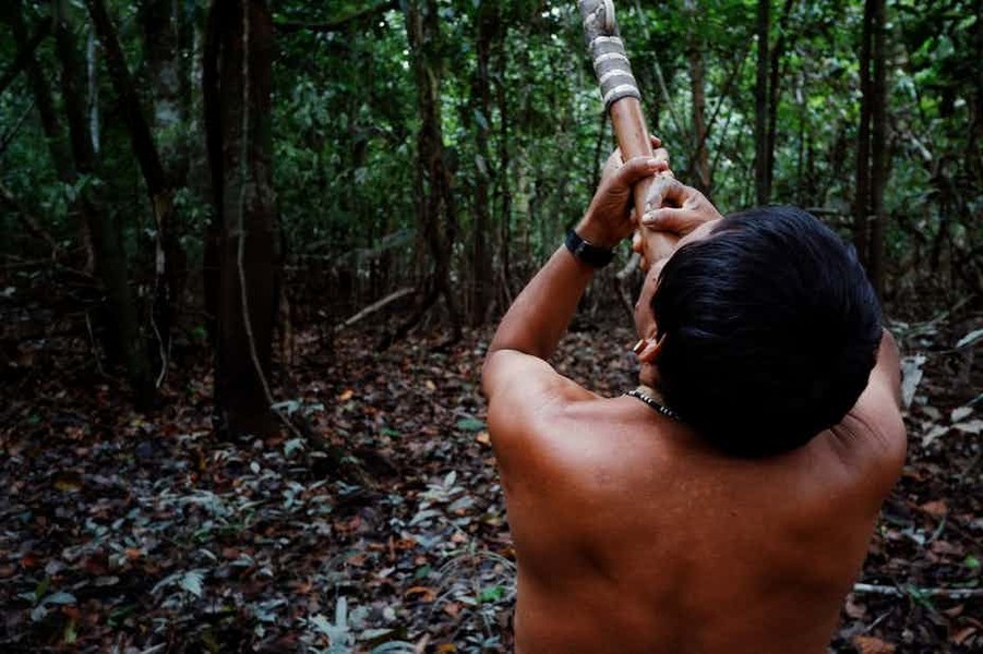 Bộ tộc Matis ở Brazil duy trì  tập tục hãi hùng là những bé trai đến tuổi trưởng thành thường phải đi săn và tự bỏ một chất thuốc độc vào mắt để “tăng nhãn quan”.